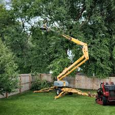 Leaf Removal in Whitefish Bay, WI